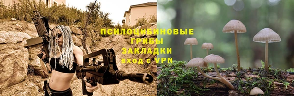 PSILOCYBIN Корсаков
