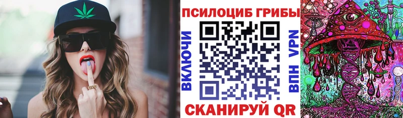 Псилоцибиновые грибы Cubensis Малая Вишера