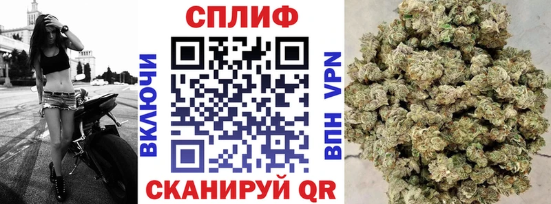 Шишки марихуана SATIVA & INDICA  цены   Малая Вишера 